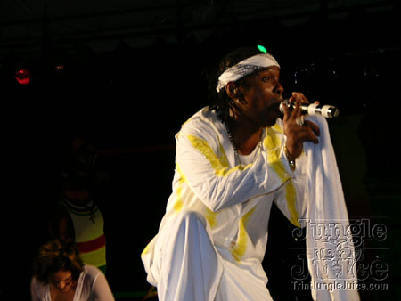 amnesia_2006-038