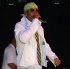 white_angels-144