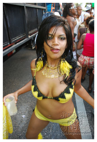 ip_mon_2008_pt2-299