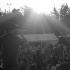 5th_annual_one_love_fest_jul19-130