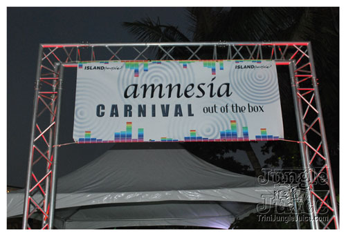 amnesia_2009-001