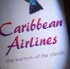 caribbean_film_corner_2009-070
