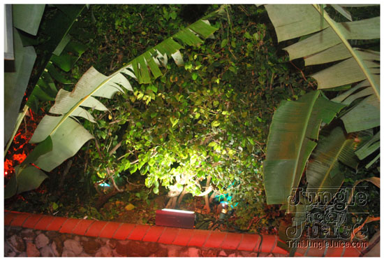 farmville_oct30-005