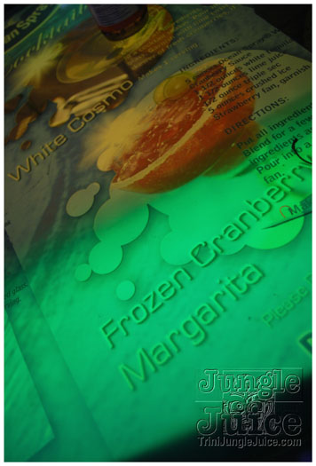 amnesia_2010-113