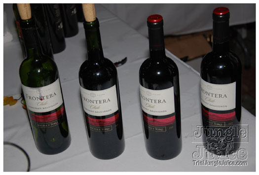 amnesia_2010-145