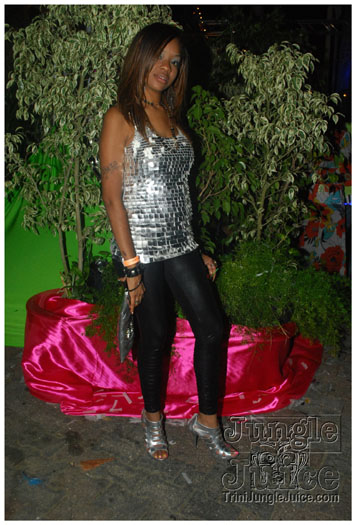 amnesia_2010-183