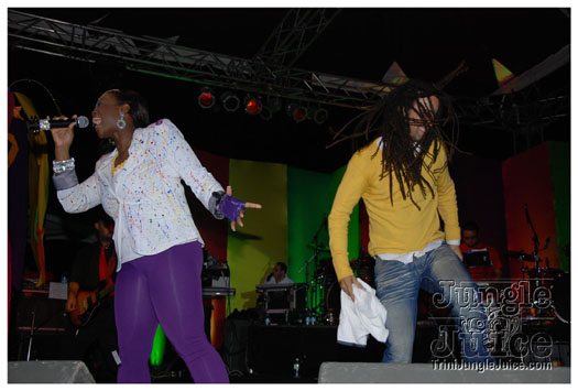 amnesia_2010-231