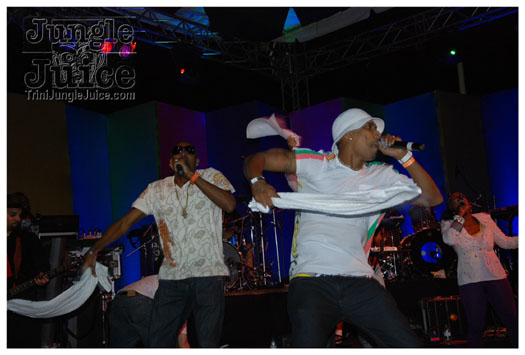 amnesia_2010-240