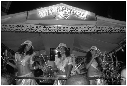 amnesia_2010-307