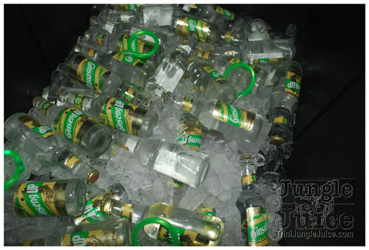 amnesia_2010-313