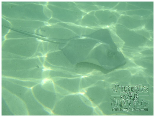 boat_lime_may2-047