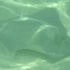 boat_lime_may2-047