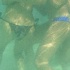 boat_lime_may2-065