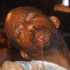 dirty_dozen_jouvert_2010-073