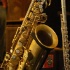 jazz_artistes_on_the_greens_mar20-073
