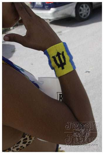 kadooment_day_2010_pt2-287