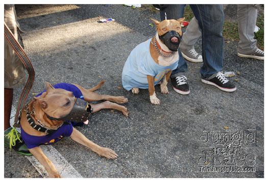 uwi_campus_carnival_2010-103