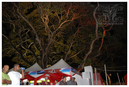 witco_one_fete_2010-334