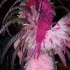 carnival_nationz_band_launch_2011-023