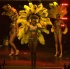 carnival_nationz_band_launch_2011-066