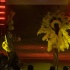 carnival_nationz_band_launch_2011-068