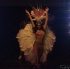 carnival_nationz_band_launch_2011-070