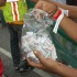 yuma_mas_monday_2011-176
