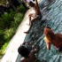 scorch_breakfast_barbados_aug5-134