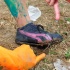 fantasy_jouvert_2012_part1-294