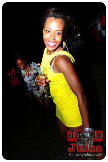 beach_house_bim_2013-201