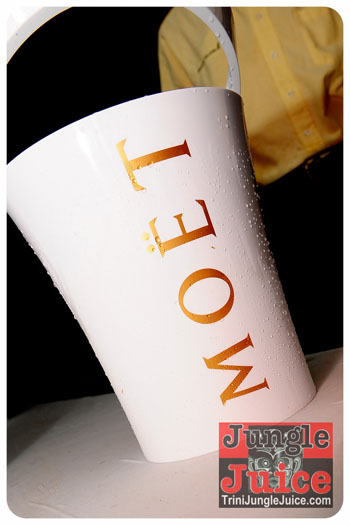 beach_house_bim_2013-208