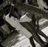 rise_meets_shine_2013-121