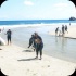 international_coastal_clean_up_sep21-110