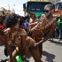 island_people_mas_tuesday_2013-127
