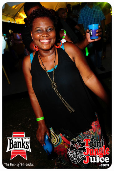 bliss_2014-201