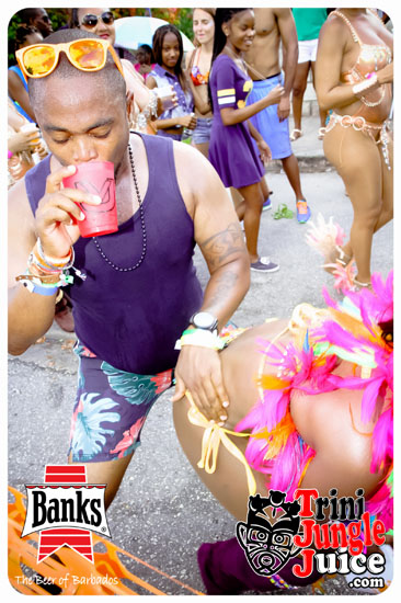 kadooment_day_2014_pt2-174