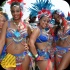 toronto_carnival_parade_2014_pt1-118