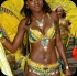 toronto_carnival_parade_2014_pt2-083