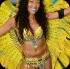 toronto_carnival_parade_2014_pt2-084