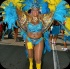 toronto_carnival_parade_2014_pt2-190